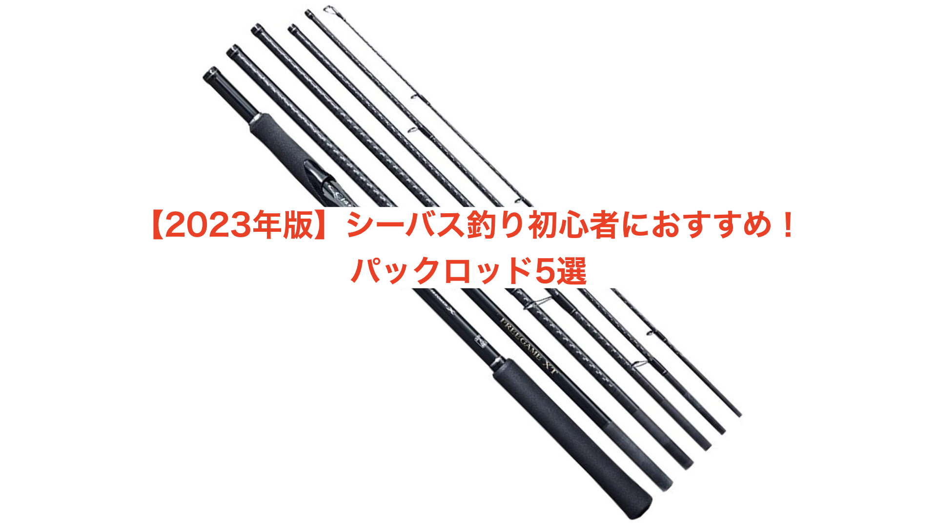 2023年版】シーバス釣り初心者におすすめのパックロッド5選